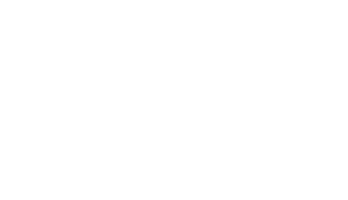 LOGO_DISTRIMAX-W